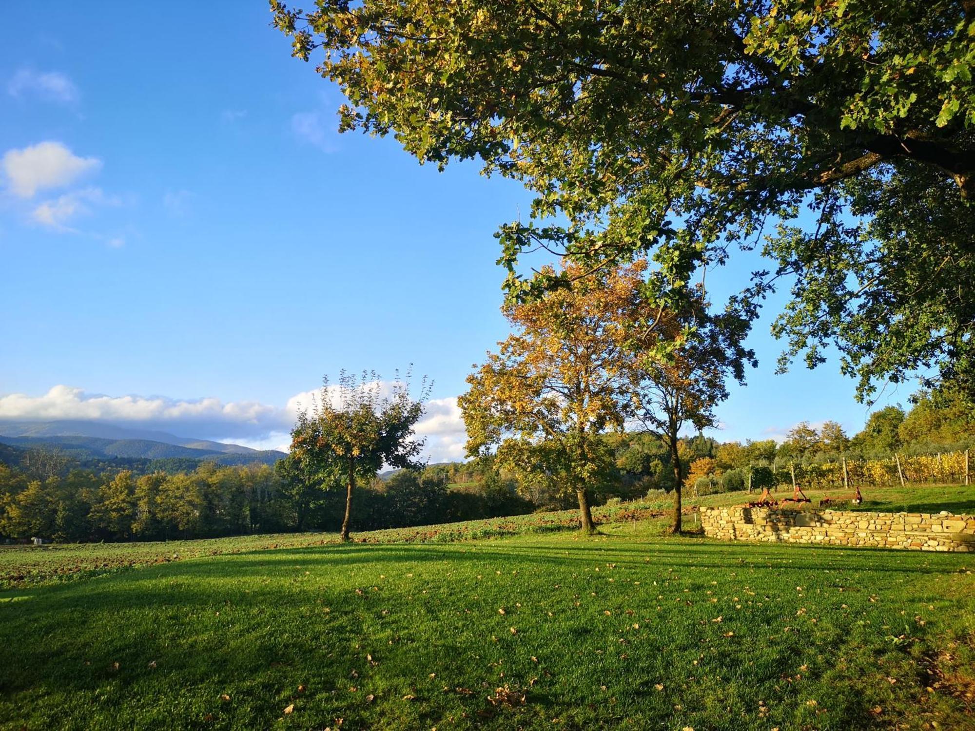 Palazzolo Resort - Anghiari Exterior foto